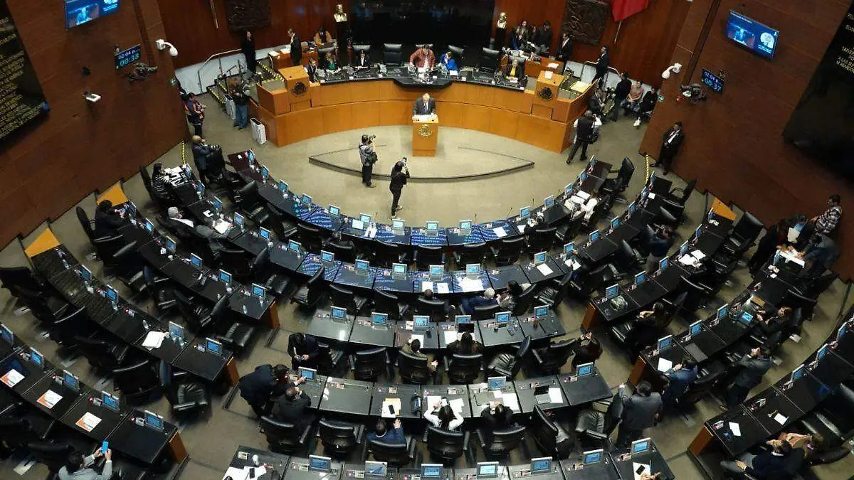 senado (11)